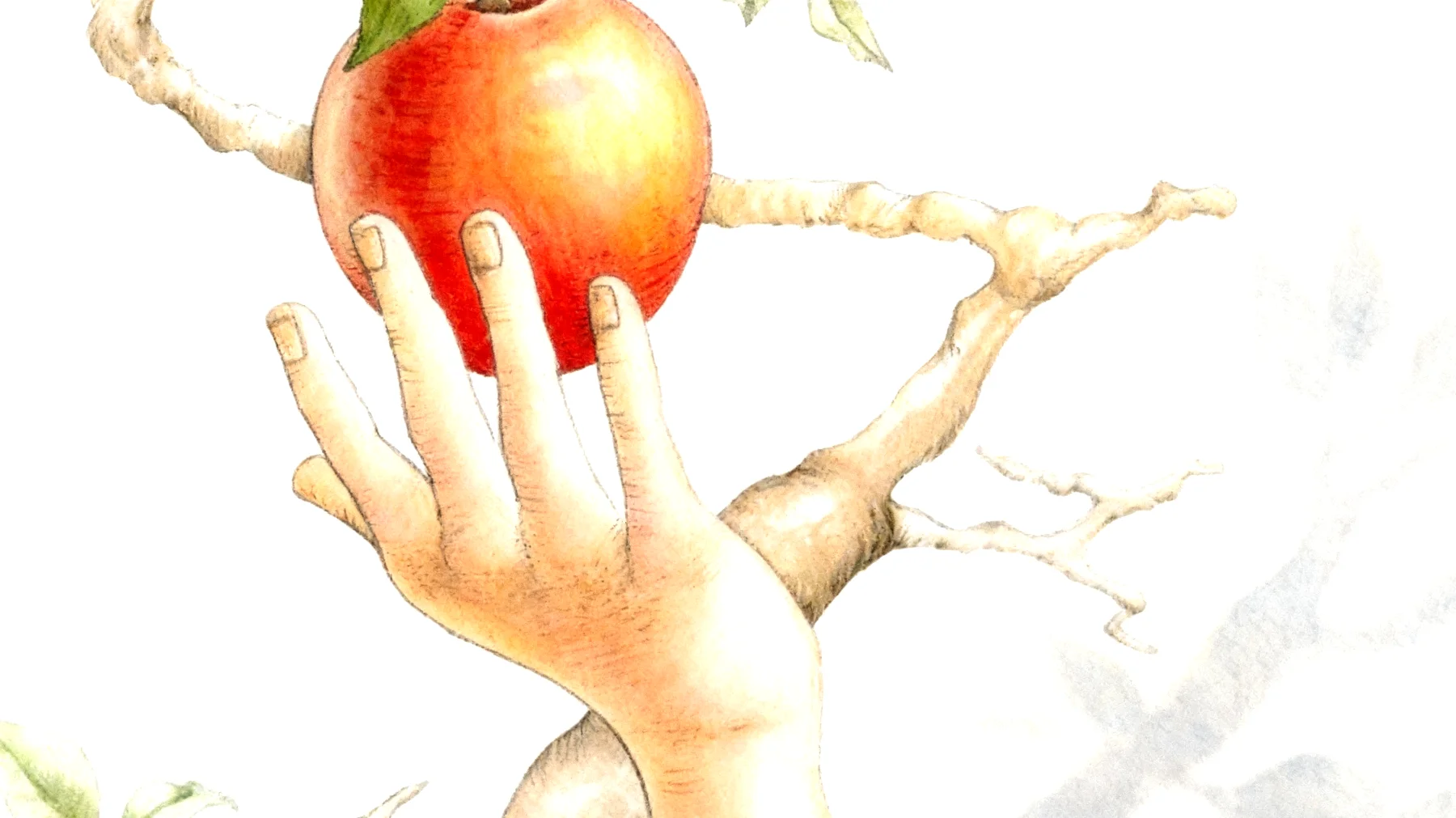 Forbidden Fruit2026-01-13T22:59:17.550Z"