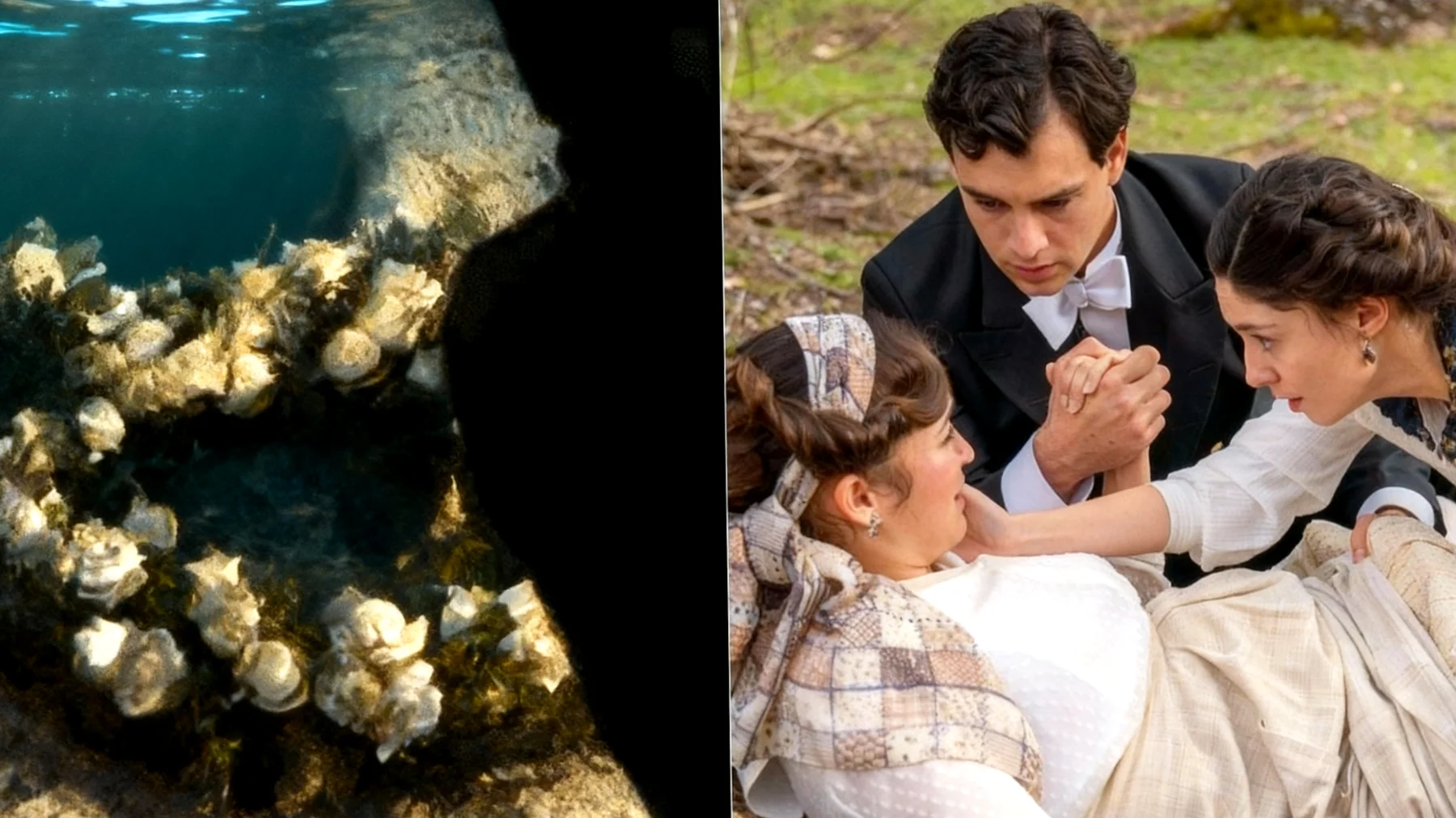 La Promessa 2026-01-31T16:40:07.856Z"