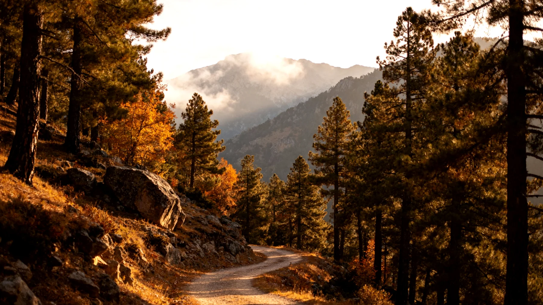 Troodos National Forest Park"