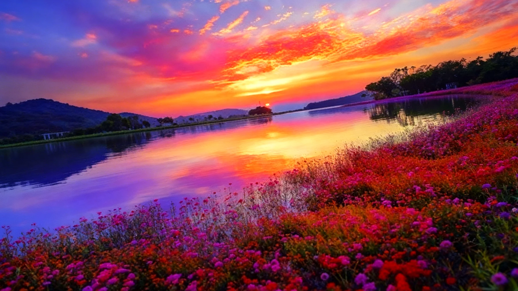 Beautiful 2026-02-18T06:32:12.176Z"