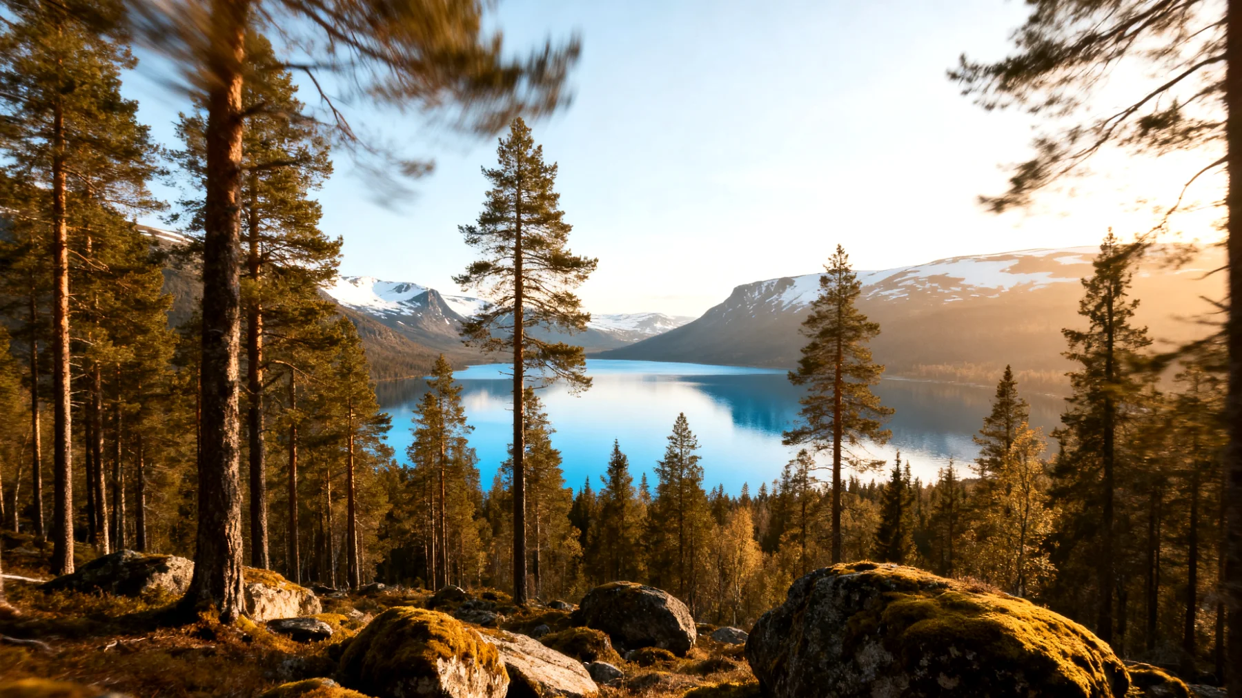 Parco Nazionale di Abisko"