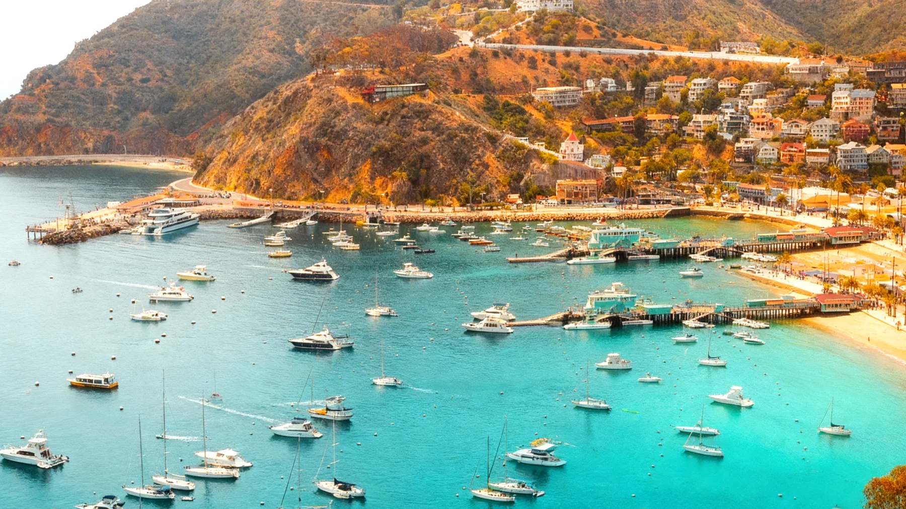 La Promessa 2026-03-08T06:42:54.070Z"